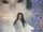 The Snow Woman