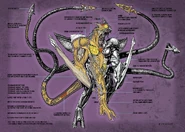 0dd8e6ea3b36ca0d894194b8ceb0956a.jpg (348 KB) Iris anatomy, Arrow Video extra, artwork by Jolyon Yates.