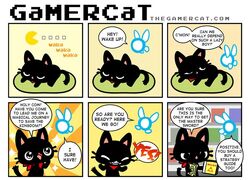 the GaMERCat, Wiki