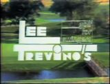 Lee Trevino's Golf For Swingers.jpg