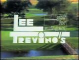 Lee Trevino's Golf For Swingers