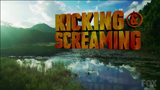 Kicking & Screaming