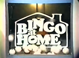 Bingo at Home