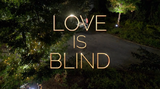 Love is Blind.png