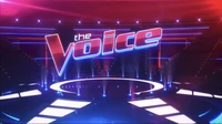 The Voice Seasons 22-28
