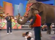 What is the elephant doing?