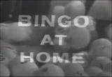 Bingo at Home