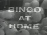 Bingo at Home (1)