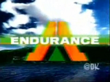 Endurance Logo