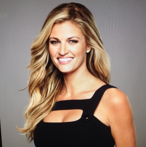 Erin Andrews, Blogs & Videos