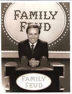 10385 - Family Feud