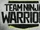 Team Ninja Warrior