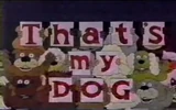 That's my dog cartoon