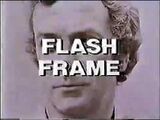 Flash Frame 1.jpg