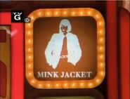 Mink Jacket