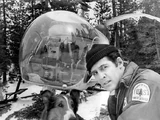 Jed Allan