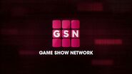 GSN logo