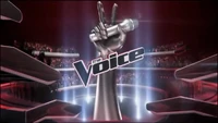 The Voice Seasons 6-9