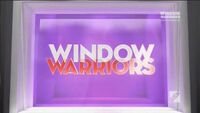 Window Warriors