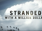 Stranded With a Million Dollars