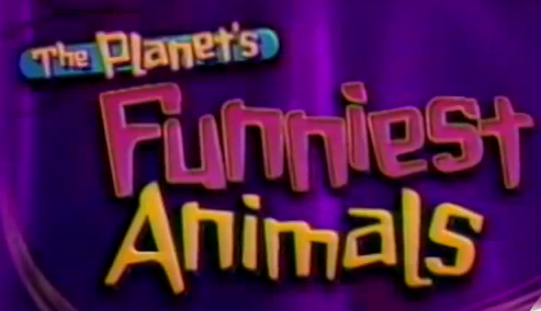 The Planet's Funniest Animals | Game Shows Wiki | Fandom