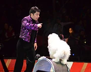 Nicholas Olate gives instructions to a dog balancing atop a large wheel, February 16, 2013.