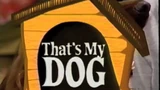 That's My Dog (2)