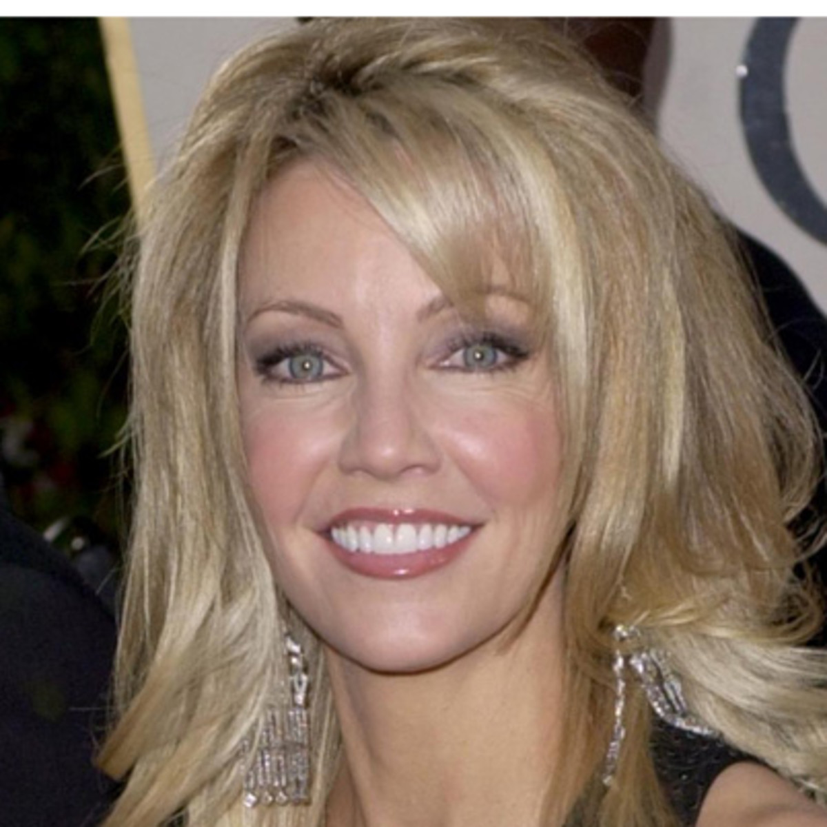 Heather Locklear Game Shows Wiki Fandom