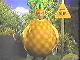Pybpineapple-1-.jpg (6 KB) Marc dressed as a pineapple.