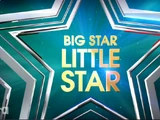 Big Star Little Star