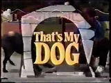 That's My Dog (1)