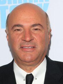 Kevin O'Leary, Game Shows Wiki