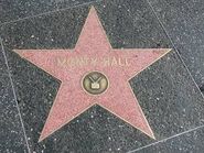 ImagesJIVJEGRJ.jpg (13 KB) Monty's star on the Hollywood Walk of Fame