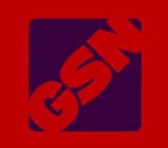 GSN alt logo