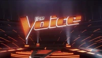 The Voice Seasons 14-21