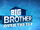 Big Brother: Over the Top