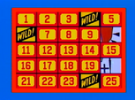 But three Wild Cards gives you another $500 bonus, for a total of $1,000! But it's not yours unless you solve the puzzle.