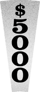 $5000 #3
