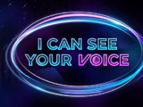 I Can See Your Voice