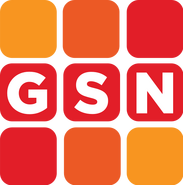 The 2008 GSN Logo