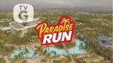 Paradise Run alt Background