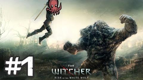 The_Witcher_3!_ugh!