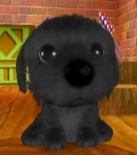 The Dog Island Characters Game Story Wiki Fandom