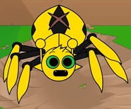 Spider