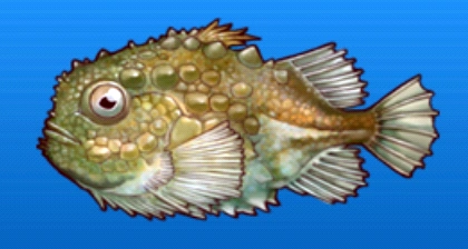 Spiny lumpsucker | Fishing Superstars Wiki | Fandom