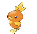 Torchic