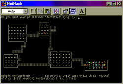 NetHack - Encyclopedia Gamia Archive Wiki - Humanity's collective ...