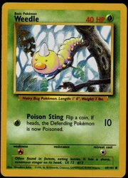 weedle card