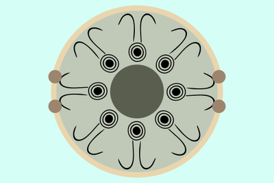 Flag-Celtiberian-Freeciv