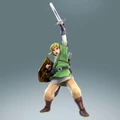 Link in his Twilight Princess outfit (without the scarf) in Hyrule Warriors.